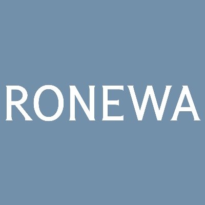 Ronewa Art Project